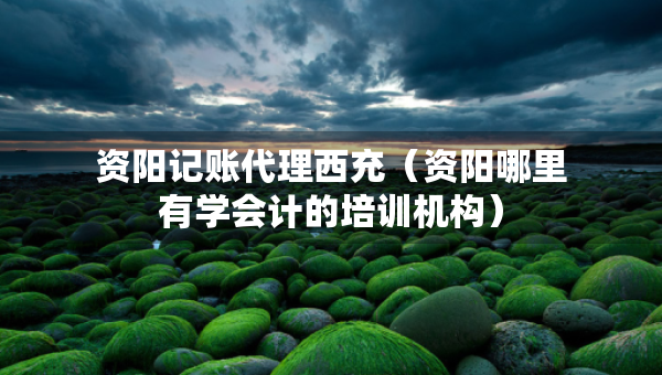 資陽記賬代理西充（資陽哪里有學(xué)會(huì)計(jì)的培訓(xùn)機(jī)構(gòu)）