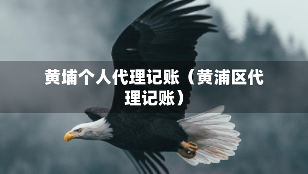 黃埔個(gè)人代理記賬（黃浦區(qū)代理記賬）