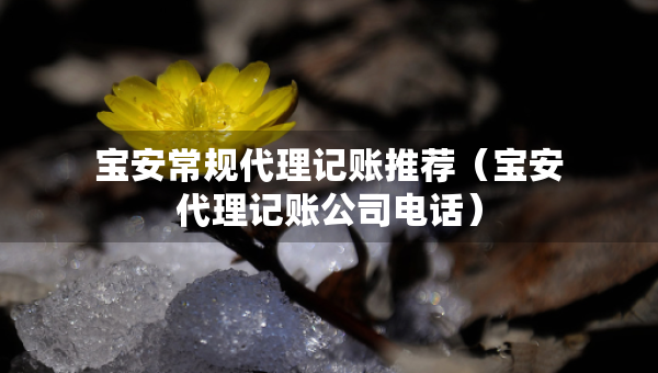 寶安常規(guī)代理記賬推薦（寶安代理記賬公司電話）