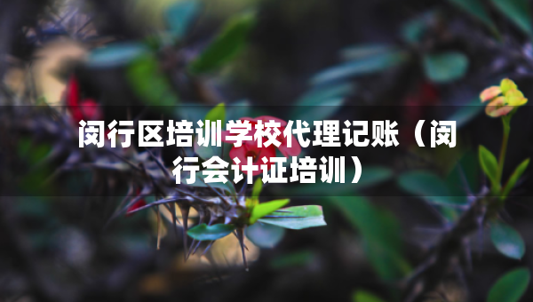 閔行區(qū)培訓(xùn)學(xué)校代理記賬（閔行會(huì)計(jì)證培訓(xùn)）