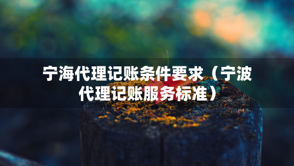 寧海代理記賬條件要求（寧波代理記賬服務(wù)標(biāo)準(zhǔn)）