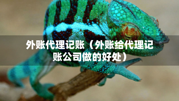 外賬代理記賬（外賬給代理記賬公司做的好處）