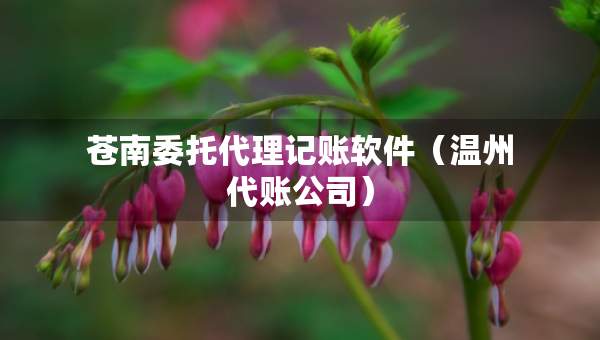 蒼南委托代理記賬軟件（溫州代賬公司）