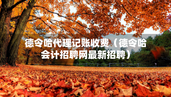 德令哈代理記賬收費(fèi)（德令哈會(huì)計(jì)招聘網(wǎng)最新招聘）