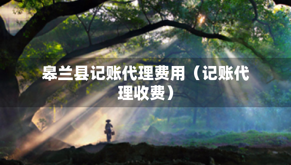 皋蘭縣記賬代理費(fèi)用（記賬代理收費(fèi)）