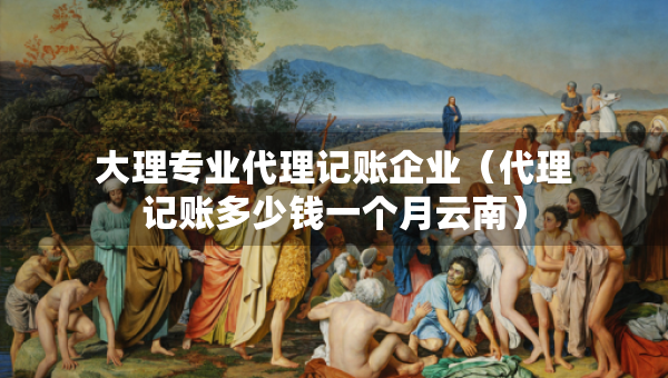 大理專業(yè)代理記賬企業(yè)（代理記賬多少錢一個(gè)月云南）